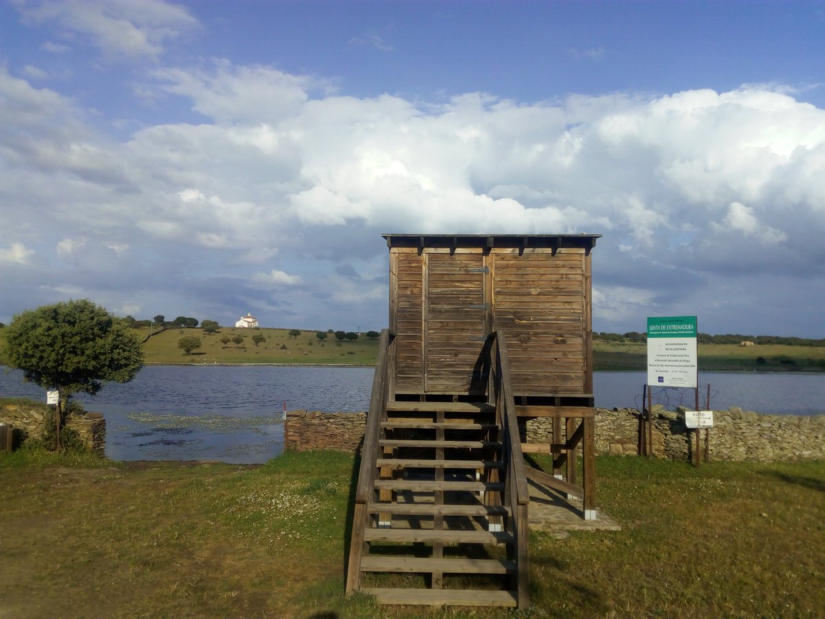alcantaraturis's tweet photo. #ObservatoriodeAves en la #FincadelaFraila, un lugar ideal para observar las aves al atardecer en su #hábitatnatural y disfrutar de #unentornoprivilegiado en el #TajoInternacional. @birdextremadura 
#BirdWhatching #AlcántaraNatural #AlcántaraTurística #VisitaAlcántara https://t.co/boTucEvmZK
