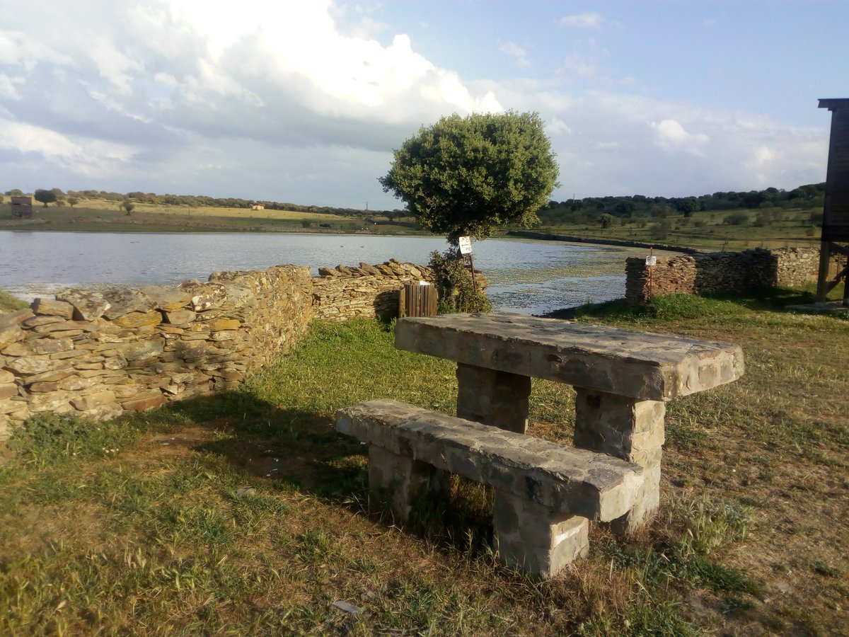 alcantaraturis's tweet photo. #ObservatoriodeAves en la #FincadelaFraila, un lugar ideal para observar las aves al atardecer en su #hábitatnatural y disfrutar de #unentornoprivilegiado en el #TajoInternacional. @birdextremadura 
#BirdWhatching #AlcántaraNatural #AlcántaraTurística #VisitaAlcántara https://t.co/boTucEvmZK