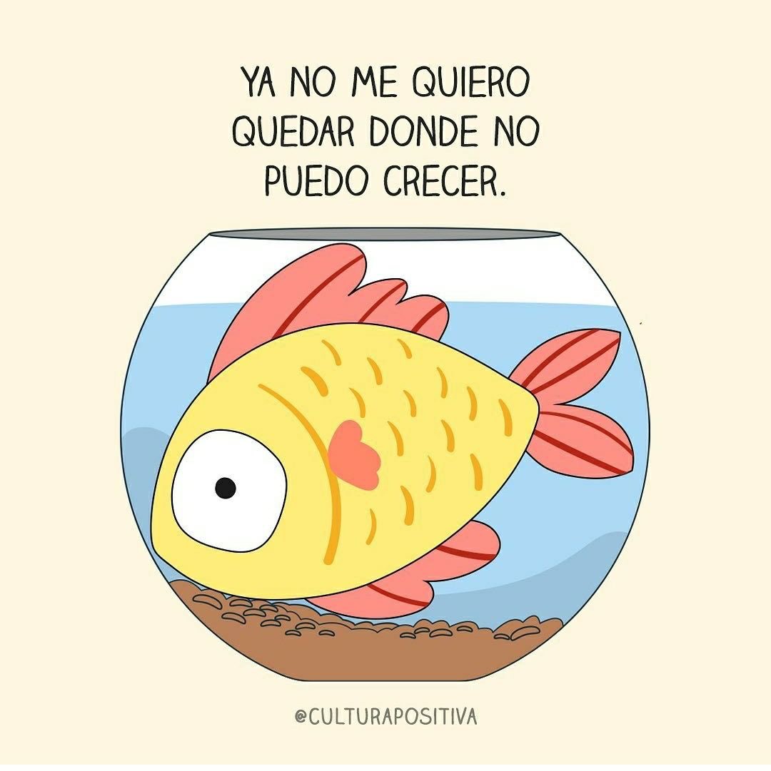 Juan Kasuga tweet media