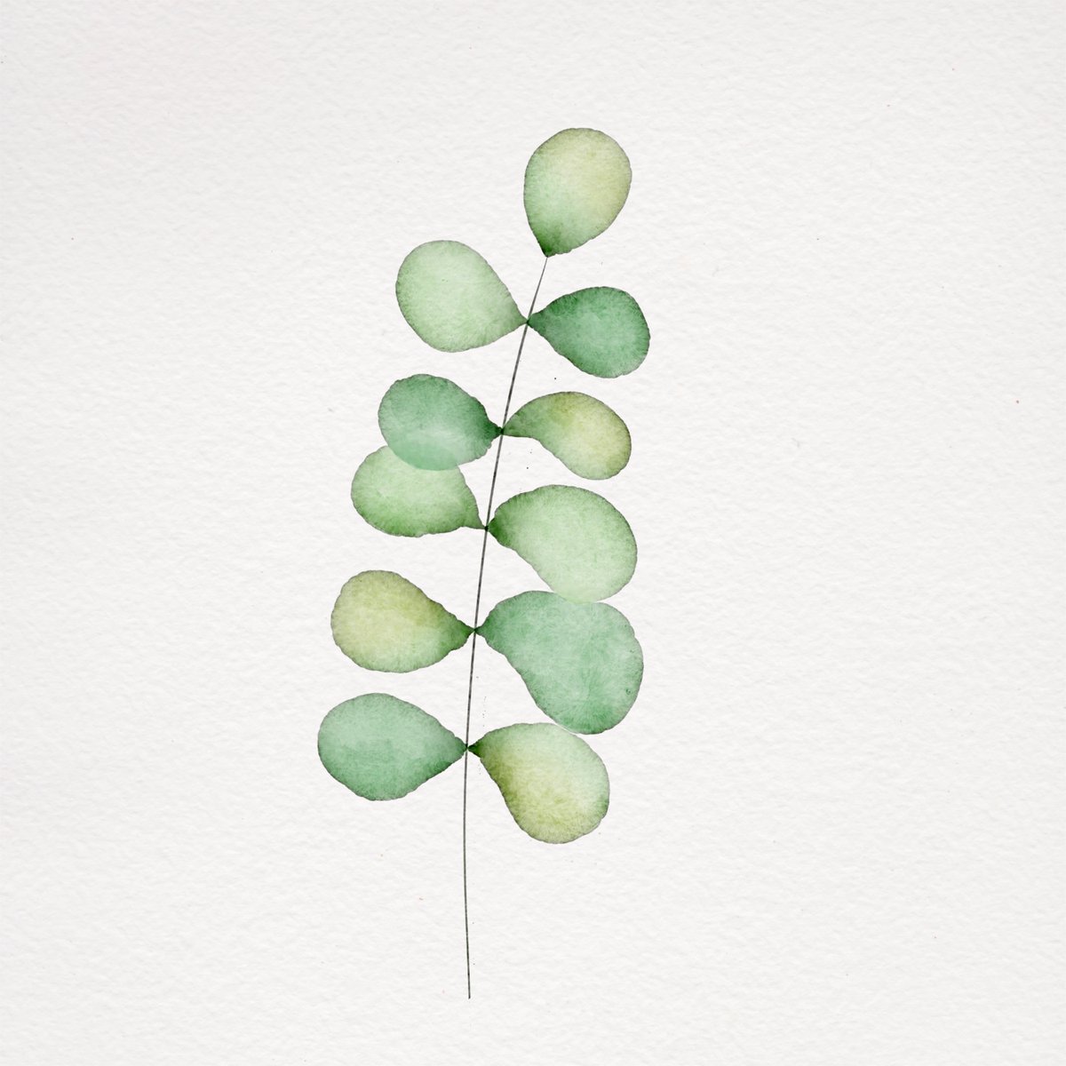 lorastaneva's tweet photo. 1/2 It was fun taking the Botanical Watercolor Paintings course on @skillshare from Brenda Bakker @deKwebbel🌟 #doodle #illustration #Digital #drawing #art #creative #ArtistOnTwitter #doodling #sketch #artwork #illustration @Procreate @ProcreateEDU #LearnWithProcreate #Procreate https://t.co/HSlDPuHVWh