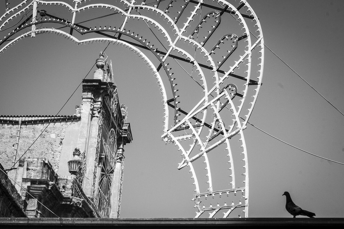 pepescoda's tweet photo. Al mercat de Ballarò #Palerm #Sicilia vaig fer aquesta imatge que em va agradar, fins que el colom va volar… llibertat! 

#photography ©️PepEscoda 
#Palermo #Sicily #Photographie #Fotografia https://t.co/APc3fPCqOM