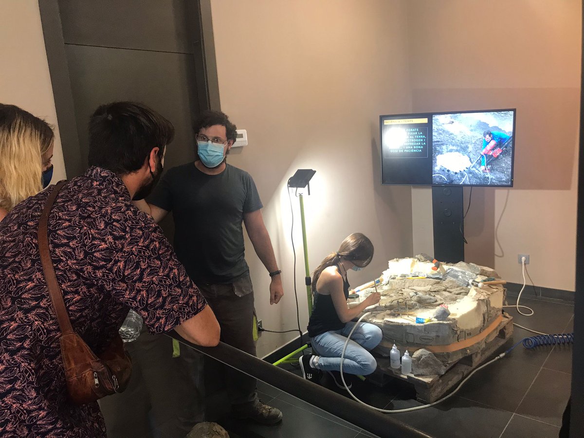 Dinosaures tweet media