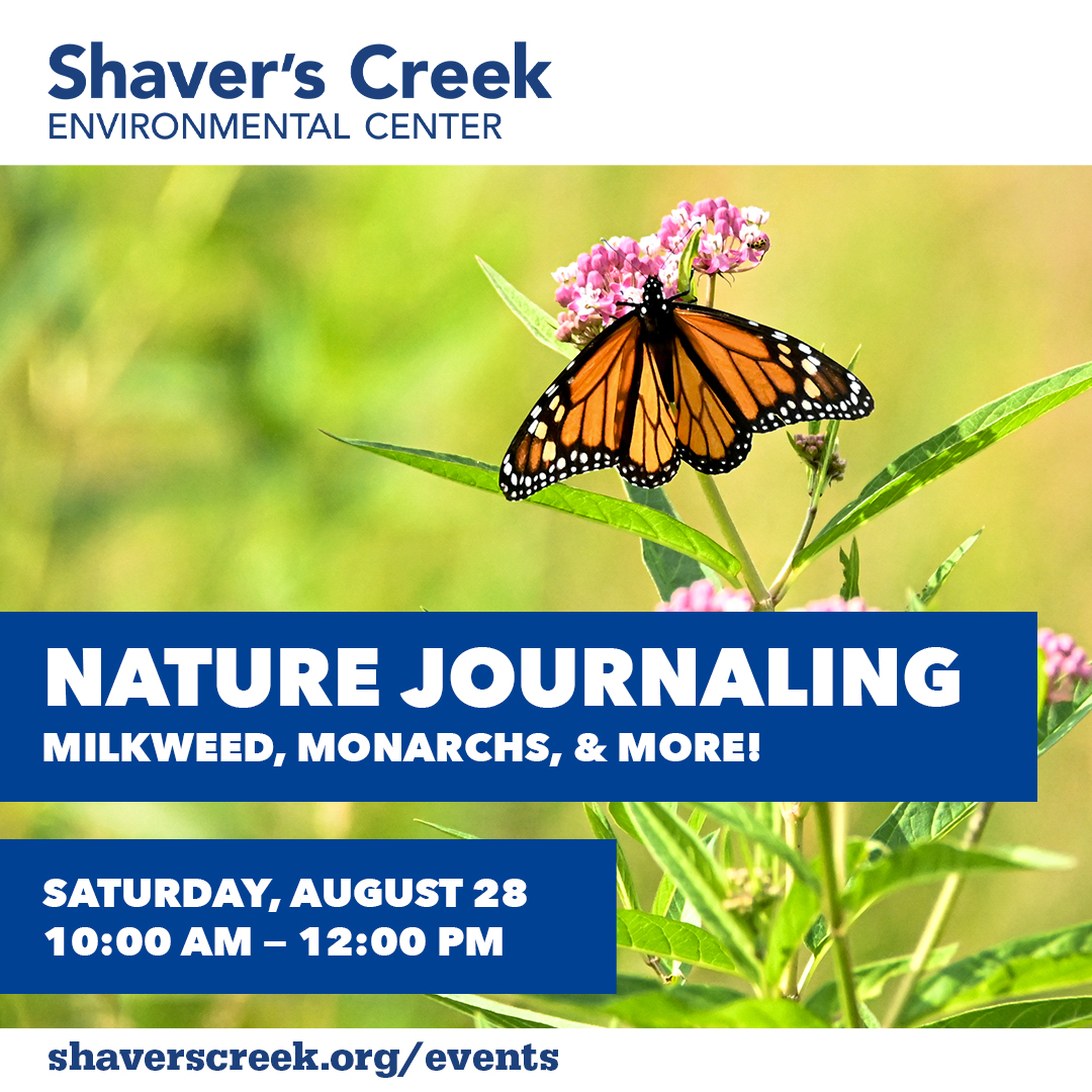 August’s Community Nature Journaling focus will be… Milkweed, Monarchs, and More!
Early fall is a great time to explore Shaver’s Creek’s milkweed patch and meadow! To register, visit shaverscreek.org/public-program…