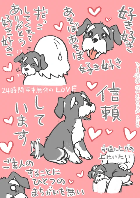 飼い犬のミニチュアシュナウザーがわたしに向ける愛情が強火で底なしすぎるなあというらくがきです 