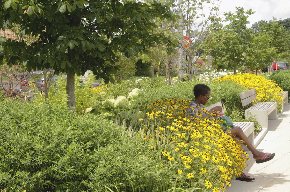 Living Standard tweet media