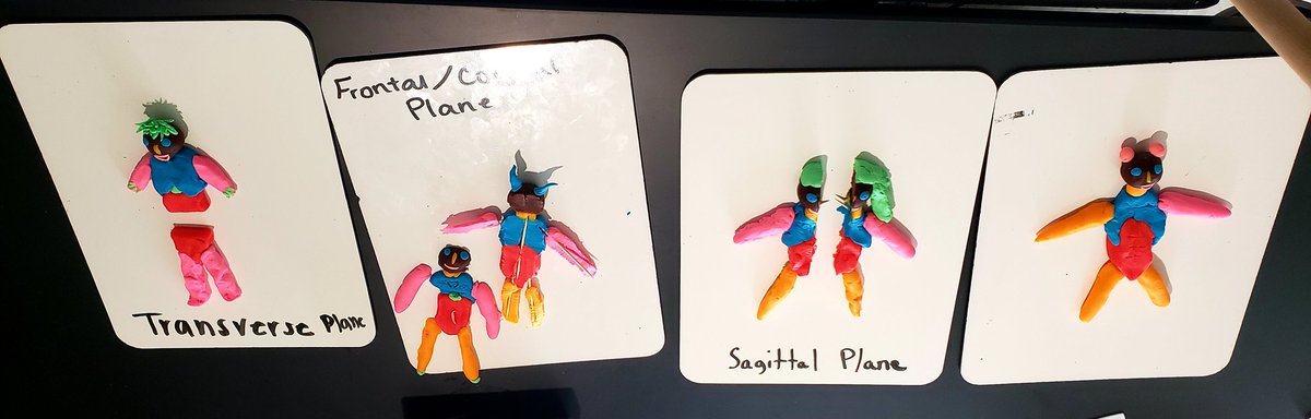 South Warren Science tweet media