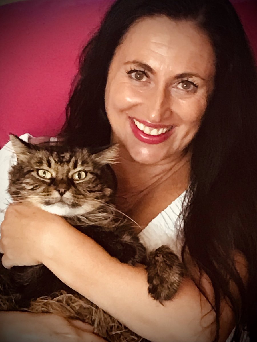 comedyloulou's tweet photo. Clare & Princess #cats #catmum #lovecats #lovecatsforever #photosofcats #princess #clareharrisonmccartney #prettycats #shotoniphone #felinefriends #catswhopose #modelcats #catswithpersonality #catsareawesome #catsofinstagram #catlife ๐ฑ๐๐ฑ https://t.co/OVohg8TAcC