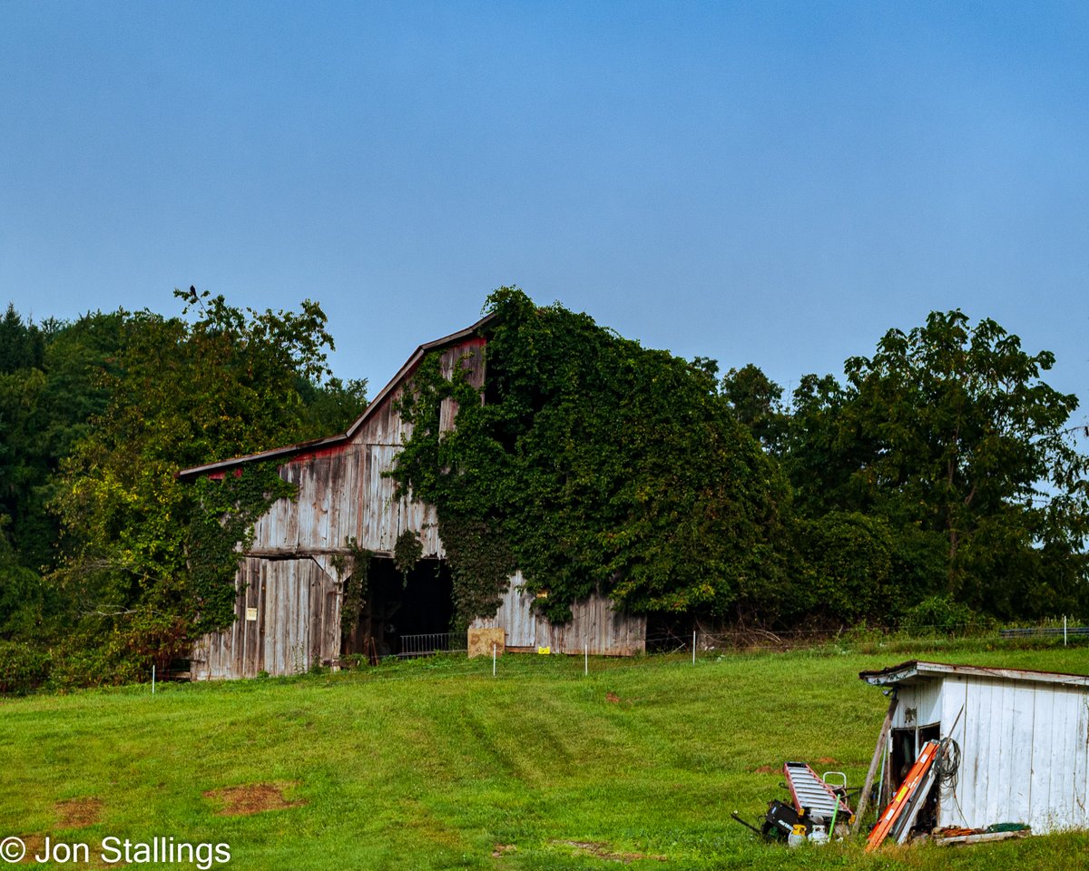 Nature vs. Man #photography #nikon #oldbarn #barn #barnphotography #backroads #rural #country