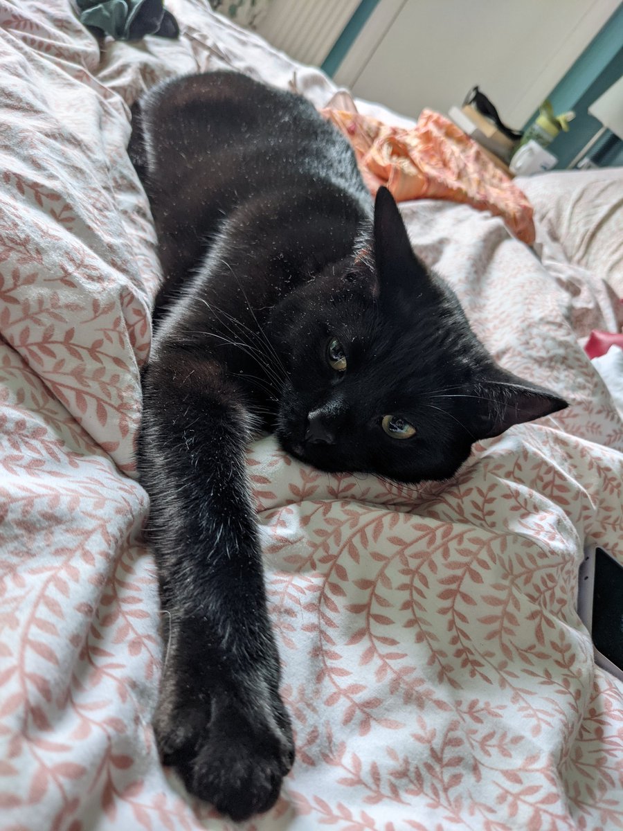 Stef North Sagrott tweet media