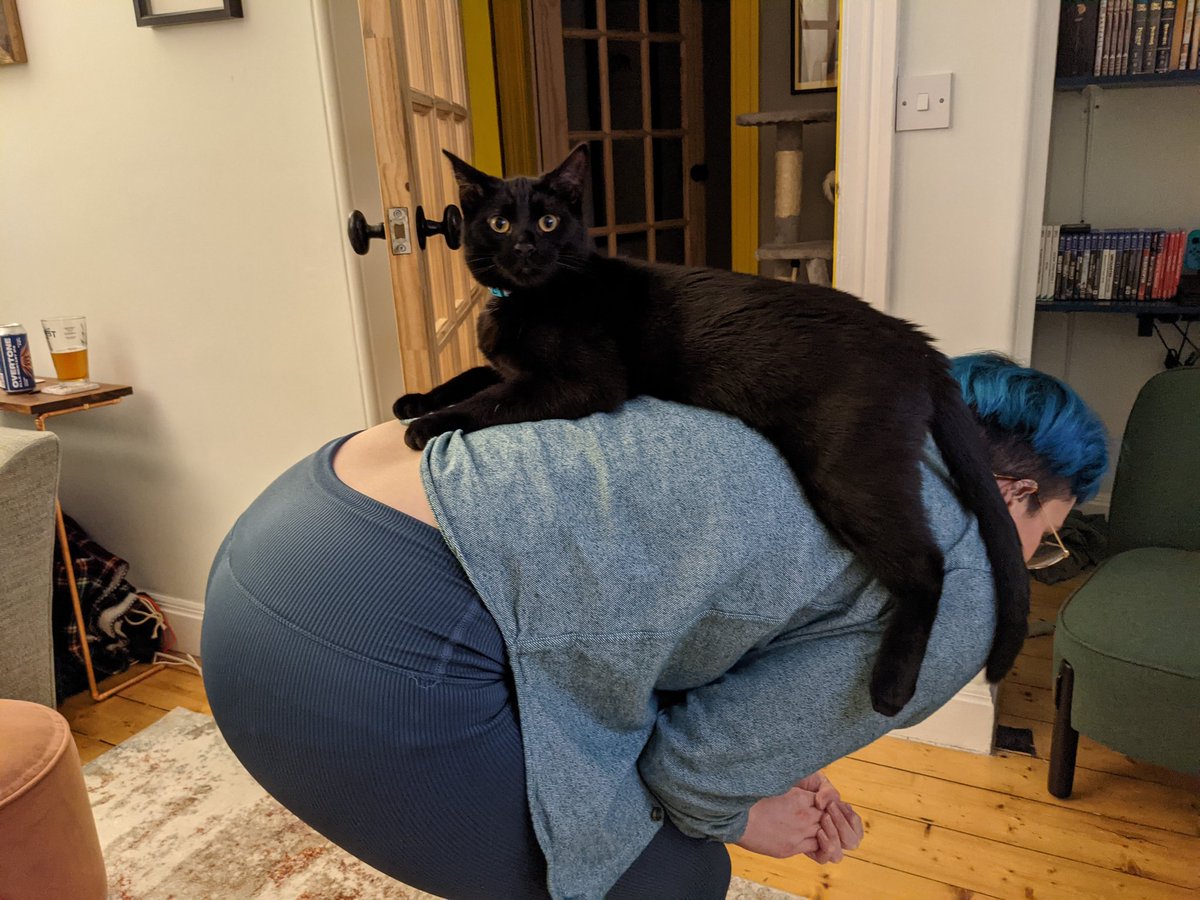 Stef North Sagrott tweet media