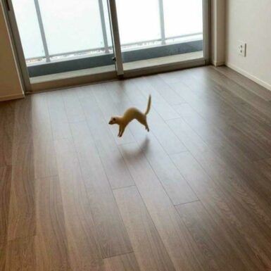ferretfiless's tweet photo. https://t.co/sTzEbNWwKl