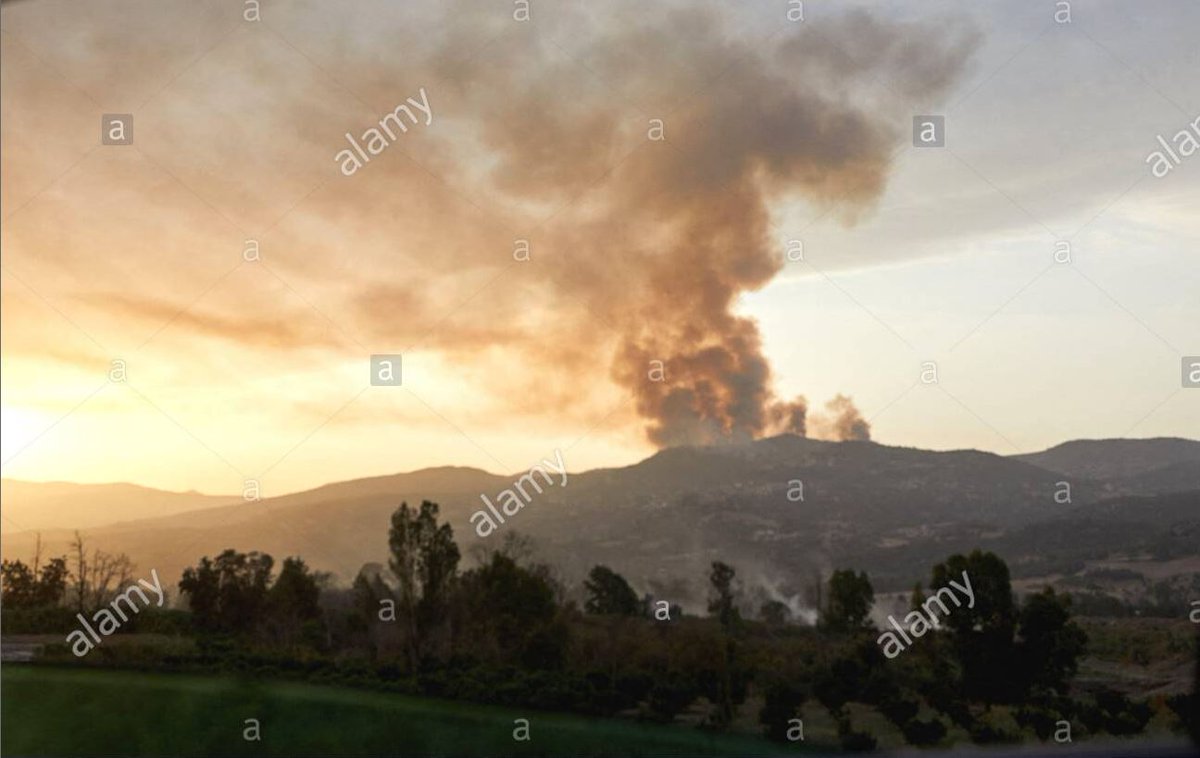 AlamyNews's tweet photo. We love #news: https://t.co/IEQoofjC3e #alamynewslightbox https://t.co/TMklxveQCt
