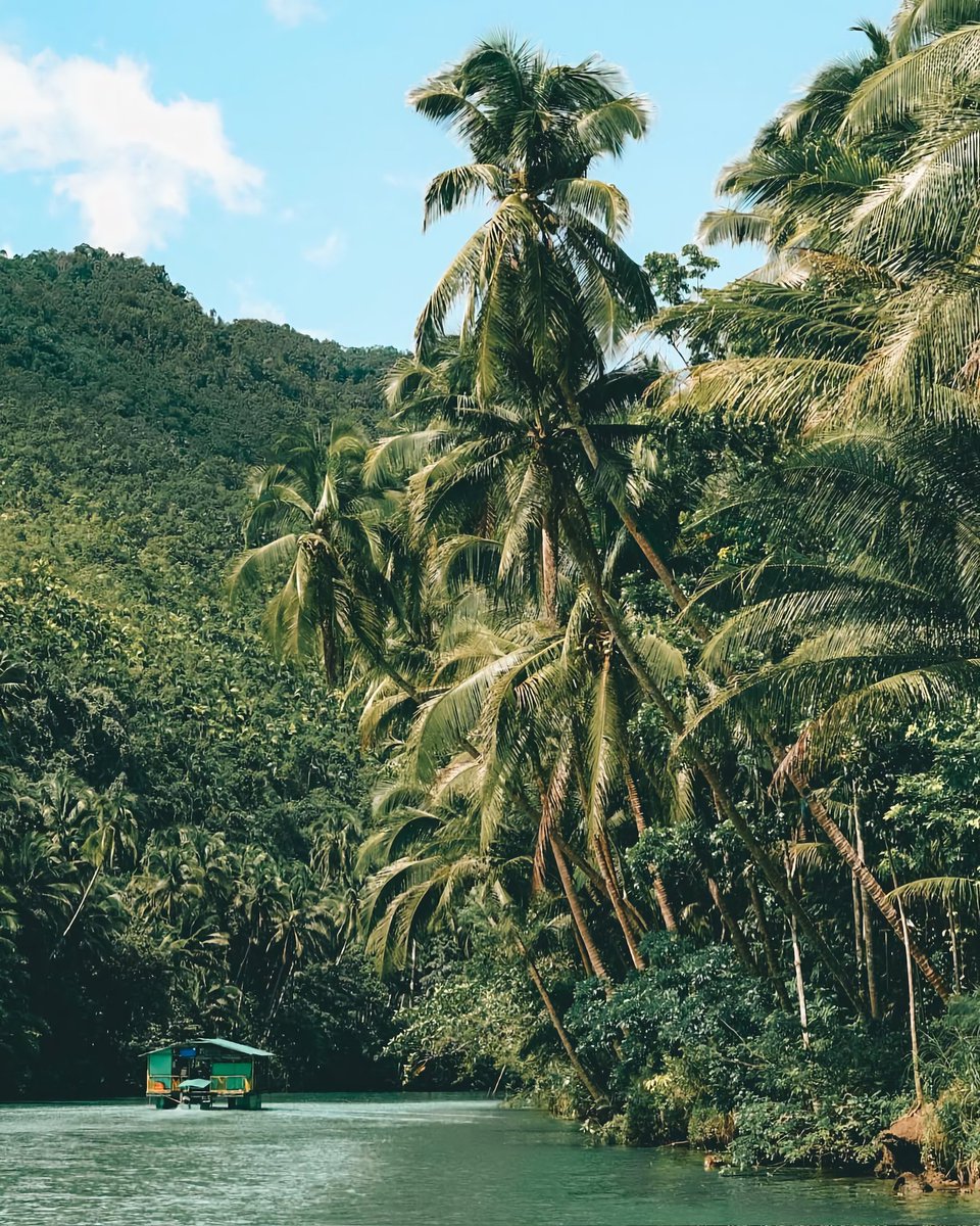 IgPhilippines's tweet photo. Loboc River in Bohol with Joao Cajuda

https://t.co/9fXFVVxohw https://t.co/r5dVJJ6yc1