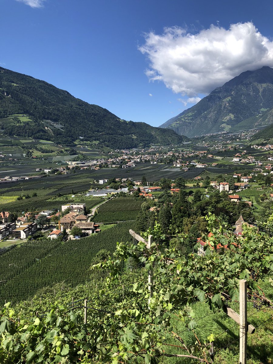 lili285's tweet image. #tappeinerweg #polveriera #NaturePhotography #casteltirolo @meranodintorni @altoadige_info