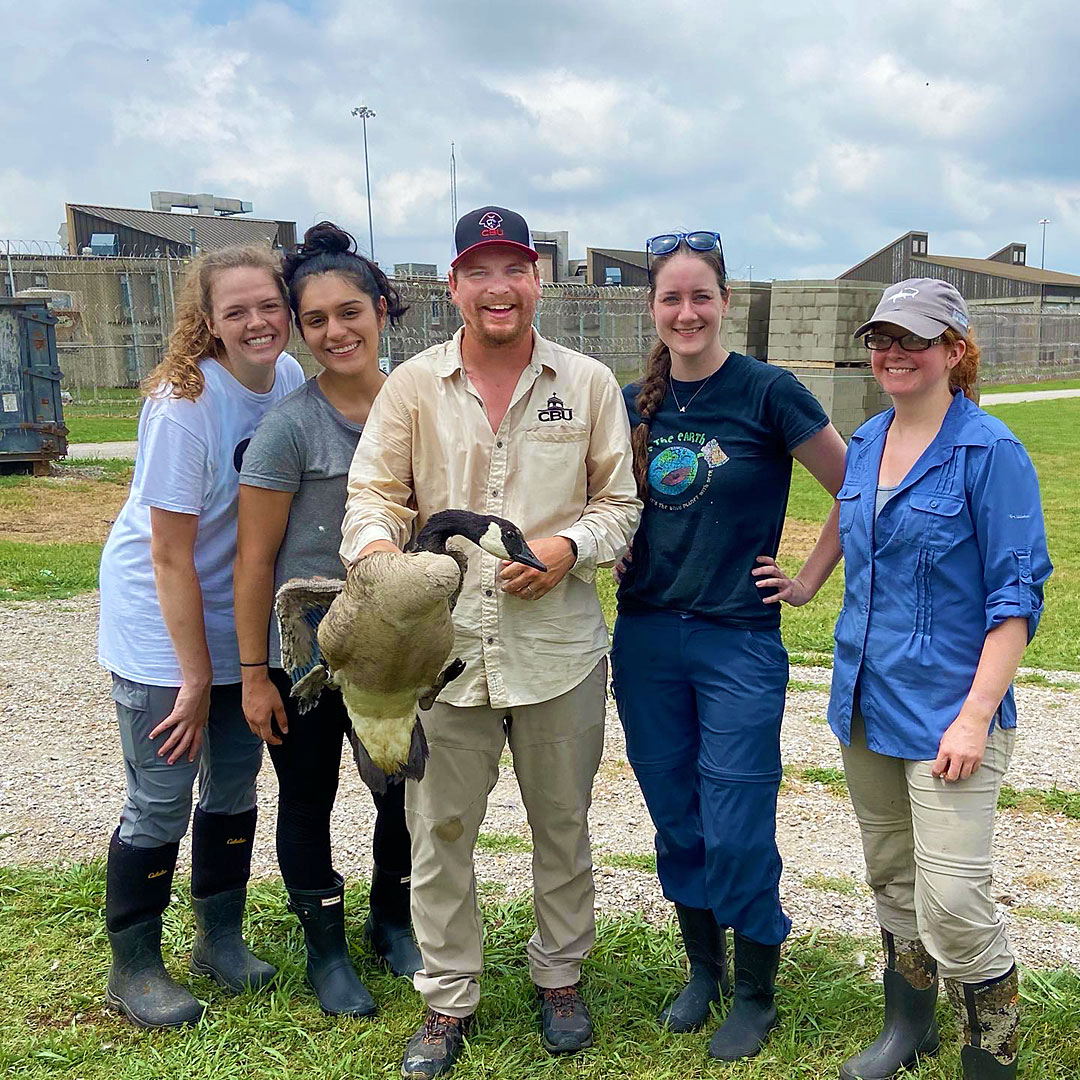 FromCBU's tweet image. Geese and ducks and ducklings, oh my! Just a few shots from the Henson Lab of their summer research and banding session with @tnwildlife. We’ll be keeping a close watch on these CBU Biology folks and their ornithological adventures this fall! instagram.com/thehensonlab