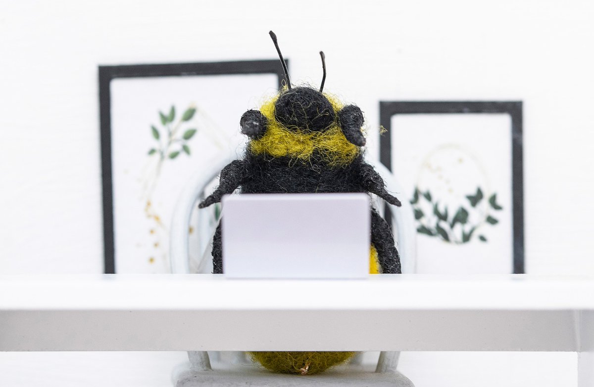 Catherine Hills 🐝 tweet media