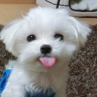 น้องเพ่ย (@exjungwnfletjrx) on Twitter photo 