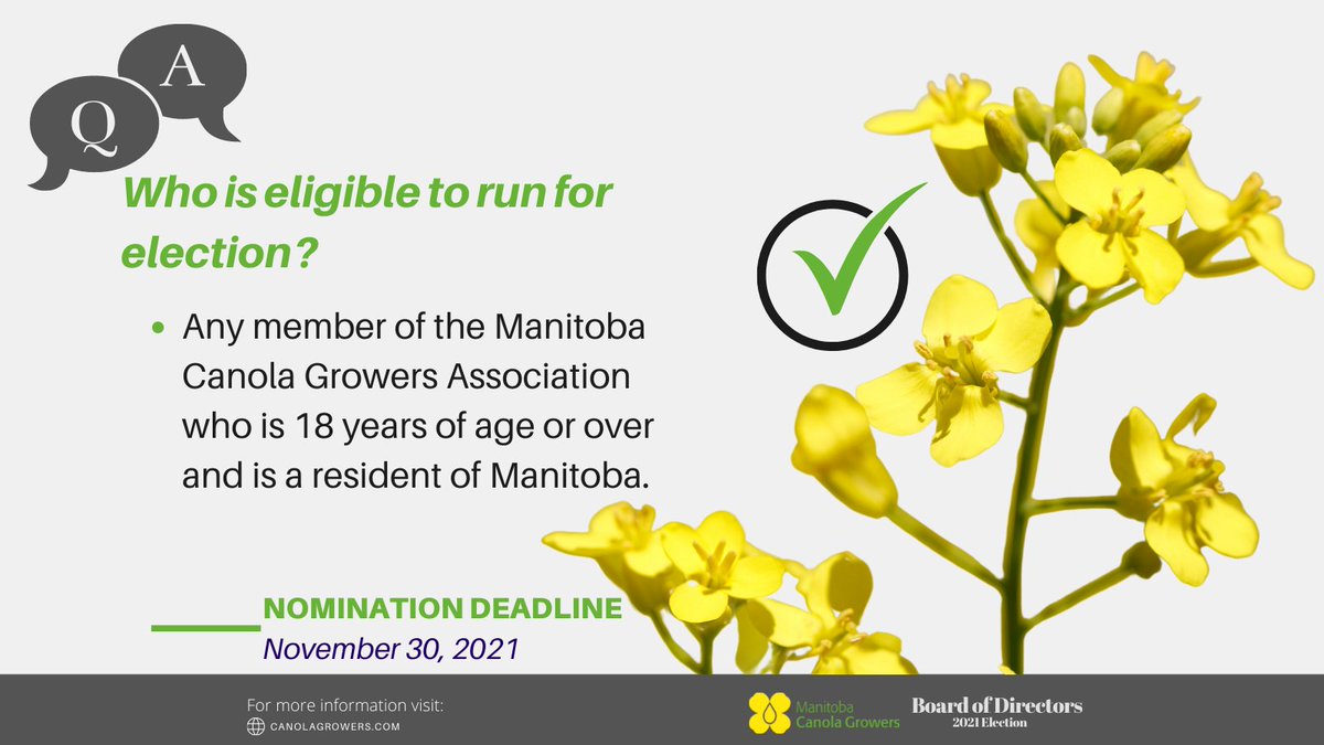 ManitobaCanola's tweet photo. 2021 is an election year for the Manitoba Canola Growers! 

Interested in joining our board?  Learn more and find both digital and printable nomination forms here.  
https://t.co/o9ycNnC6Wg 

Nomination Deadline: November 30, 2021 https://t.co/SCw1Q1A8DX