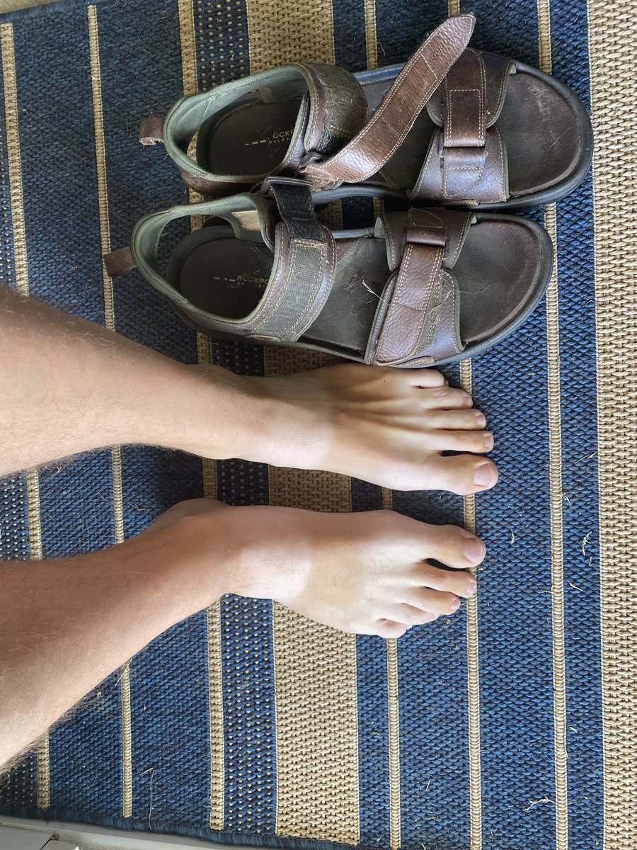 Heading into the last day on the road, these feet have travelled many kilometres, climbed many doorsteps, and seen some things along the way… survived a turkey attack, several close calls with dogs, extreme humidity, sunshine, rain, torrential rain, and did I mention rain? (1/2)