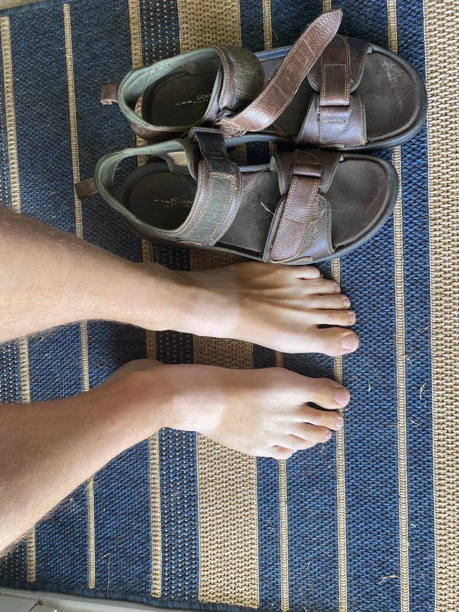 gregmorrowpc's tweet image. Heading into the last day on the road, these feet have travelled many kilometres, climbed many doorsteps, and seen some things along the way… survived a turkey attack, several close calls with dogs, extreme humidity, sunshine, rain, torrential rain, and did I mention rain? (1/2)