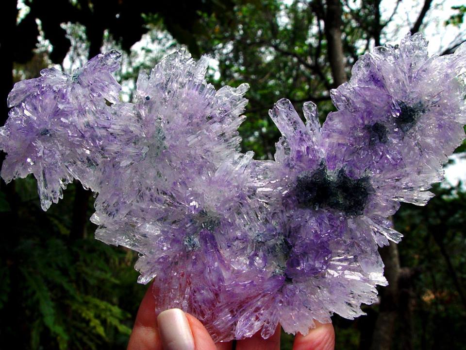 GeologyTime's tweet photo. Amethyst flower from Rio Grande do Sul, Brazil
Credit: Brazil collection minerals

#minerals https://t.co/5Eao6e1I1P