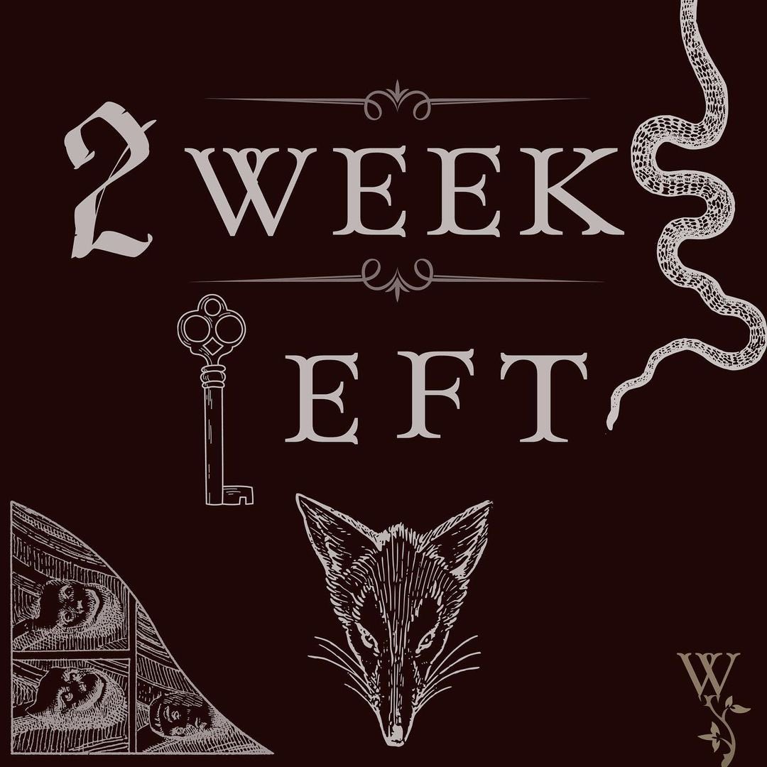 wrongpublishing's tweet image. You only have 2 more weeks to submit to Wrongdoing’s fall Issue.

I’m not sure what the fuck you’re waiting for…

wrongdoingmag.com/submit