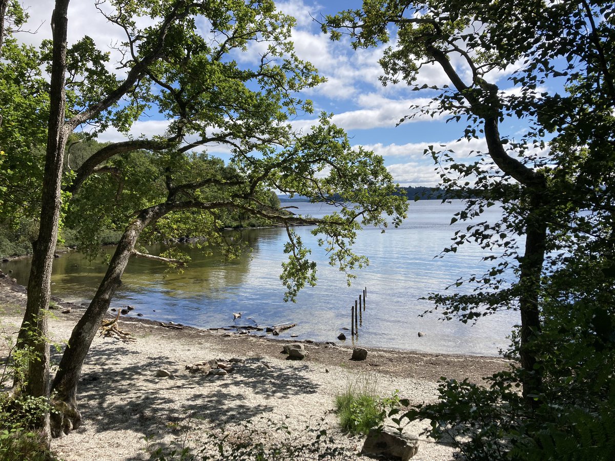 Luca Nelli tweet media