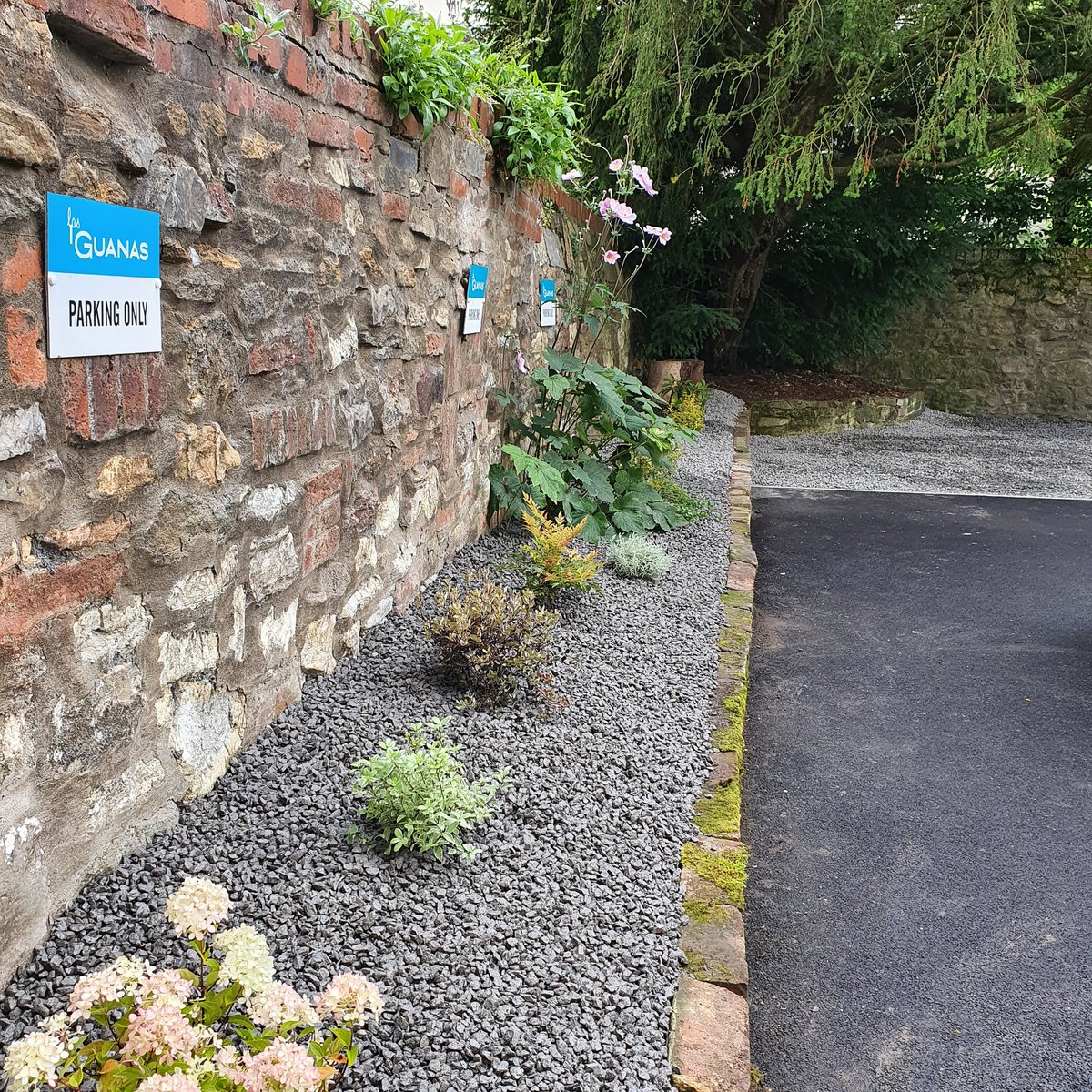secretgardenweb's tweet photo. Yesterday this #narrowborder was full of weeds and feeling a bit sorry for itself😪
We got to work #weeding laid #membrane and added some #lowmaintenance #shadetolerantplants
#gravel was added as a #topdressing - now the lovely people at @lasiguanas can enjoy the #seatingarea https://t.co/UZ4SdY8jzm