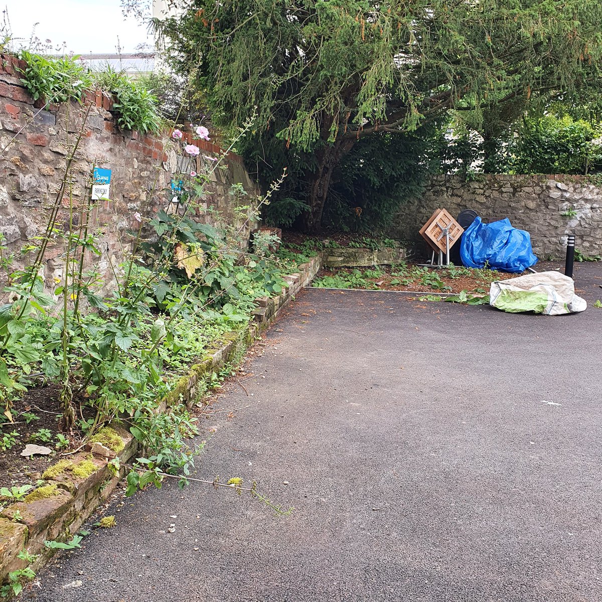 secretgardenweb's tweet photo. Yesterday this #narrowborder was full of weeds and feeling a bit sorry for itself😪
We got to work #weeding laid #membrane and added some #lowmaintenance #shadetolerantplants
#gravel was added as a #topdressing - now the lovely people at @lasiguanas can enjoy the #seatingarea https://t.co/UZ4SdY8jzm