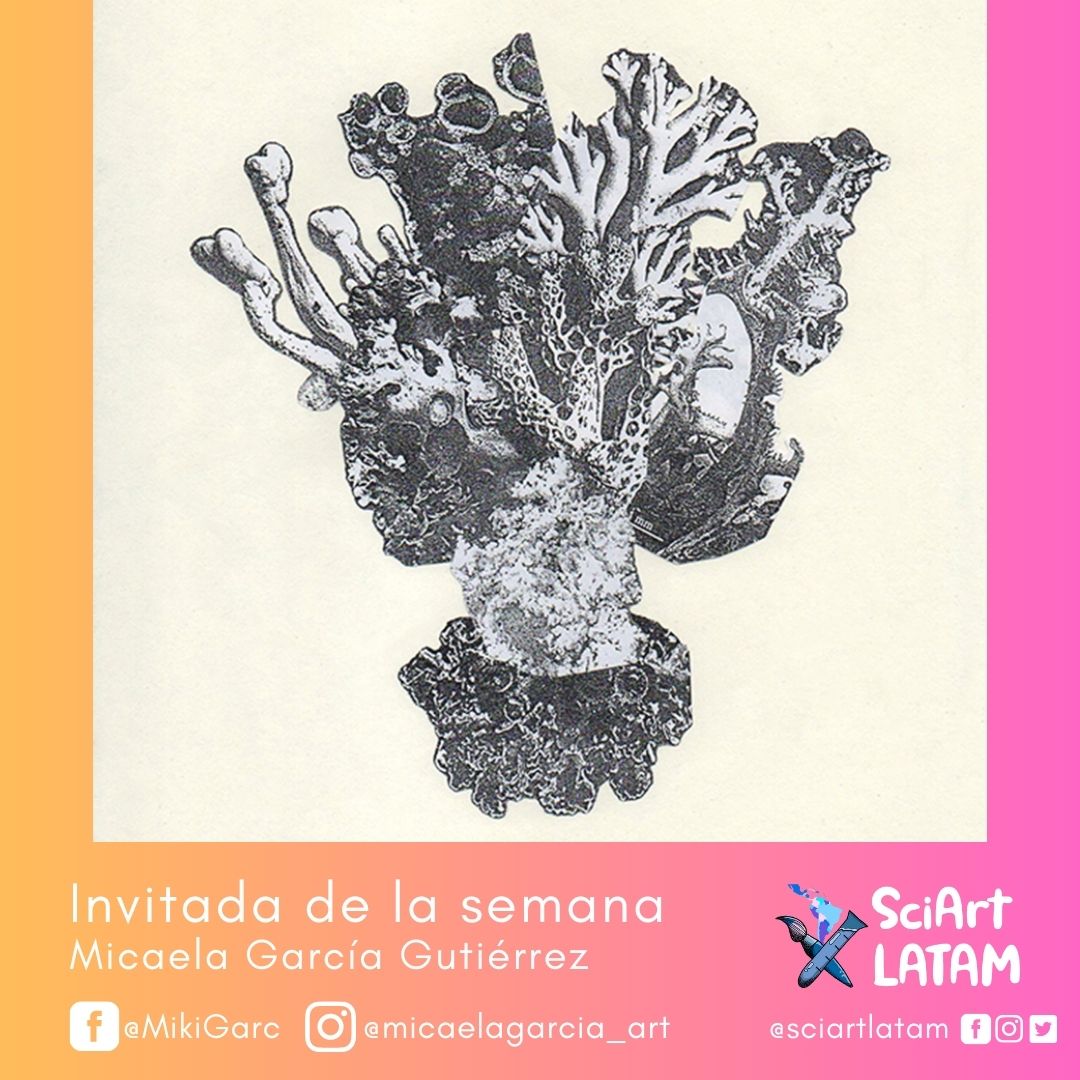 sciartlatam's tweet photo. SERIE HOLOBIONTES (2020) - Micaela Garcia 
Los simbiontes son aquellos que participan en una asociación íntima entre organismos de especies diferentes y obtienen un beneficio para promover su desarrollo vital https://t.co/rS7JVmTzcm