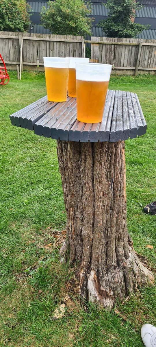 Neil_Mcbeth's tweet image. What trees were made for. #2pints
