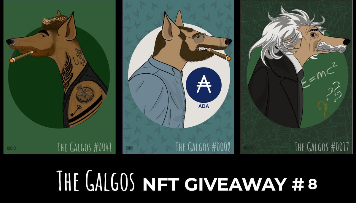 TheGalgosNFT's tweet photo. The Galgos | #CNFT | #NFTGiveaway #NFTs #NFTCommunity #ADA #CardanoCommunity 
🚨🔥72hs left to choose 1 winner! 

👉Sum more chances with every re-tweet/like
1. Retweet and like
2. Follow @TheGalgosNFT
3. Tag 3 friends

Join us: https://t.co/ieQvL7P4L1
Buy: SOLD OUT! https://t.co/8GW6AXADSZ