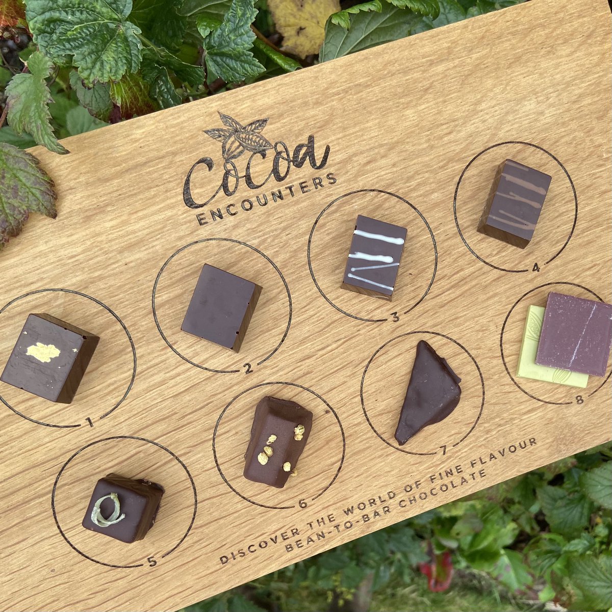 KathrynLincs's tweet image. What happens when you combine the shores of Loch Tay, an obsessive passion for plants, a deep understanding of craft chocolate &amp;amp; an ability to perform alchemy with the most natural ingredients- you get one of the best Monday #LouthChocolateTasting sessions

Thank you @cocoaflower