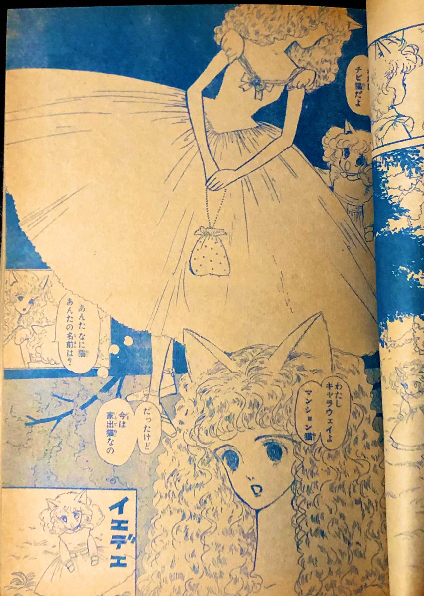 少女漫画といえば私は綿の国星が好きなのでこないだ1980年のララをお店で見つけて買ってしまった。メンツがすごすぎる。あと大島弓子先生の画面作り好きすぎるかわいい 