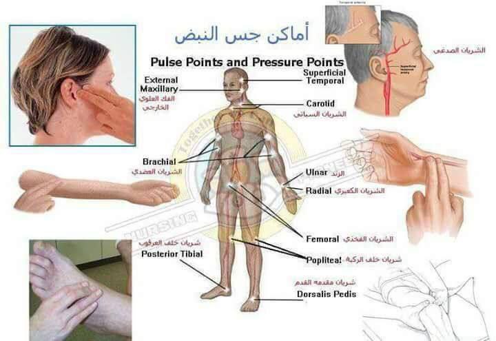 هل تعلم؟💡 tweet media