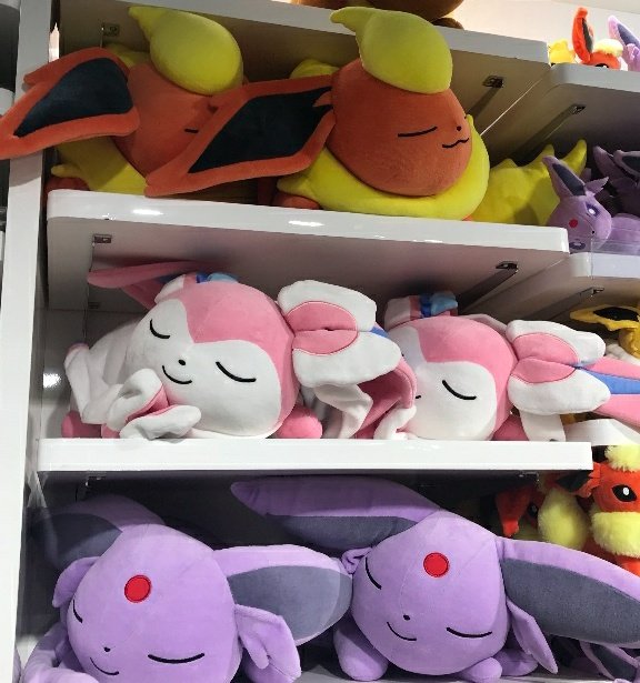 themouseyouknow's tweet image. My ideal date is going to the Pokémon center and looking at the sleeping Eevee plushies