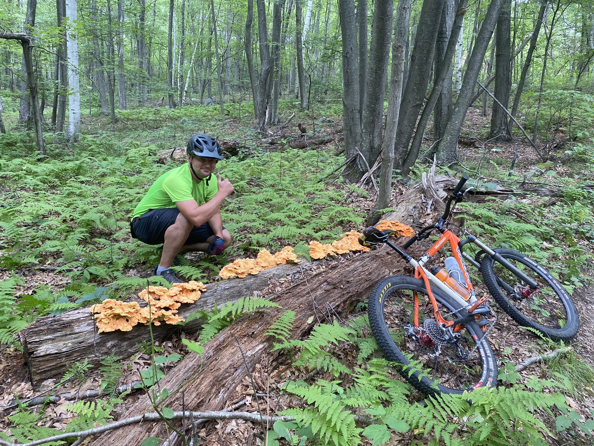 This is what happens when G’s left unsupervised. <a href="/brendanmahoney/">Brendan Mahoney</a>