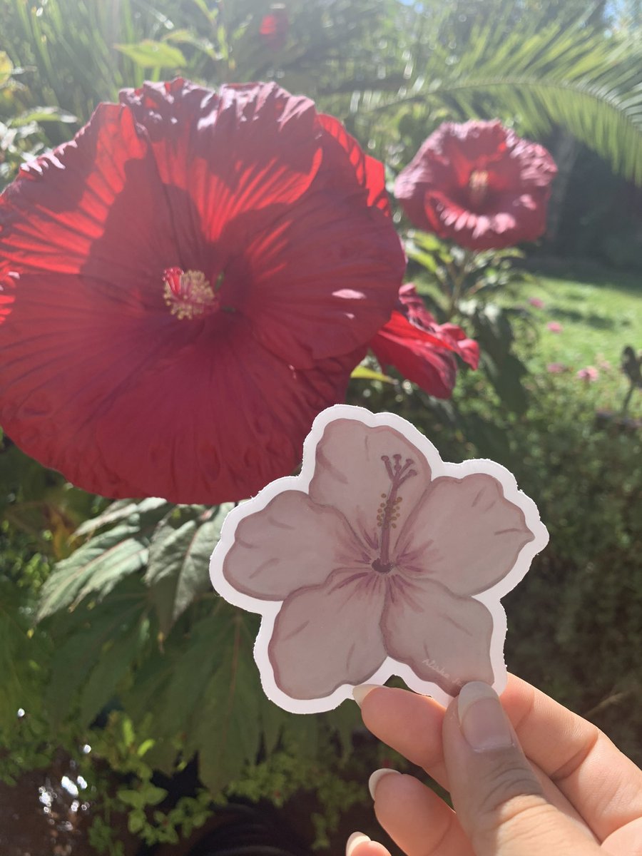 alisha jean🍄🌿 tweet media