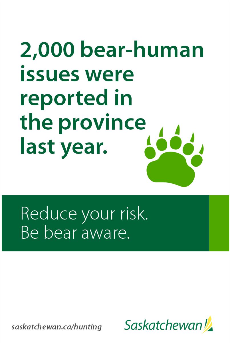 Government of Saskatchewan on Twitter "As bears begin to prepare for