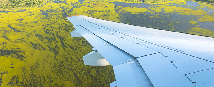 icao's tweet photo. The @Afcac_Cafac recently made very significant contributions to the global momentum underpinning the implementation of the #CarbonOffsetting and Reduction Scheme for International #Aviation! Learn more on our LinkedIn page: https://t.co/MIevACNHUl https://t.co/nijSr6iSmI