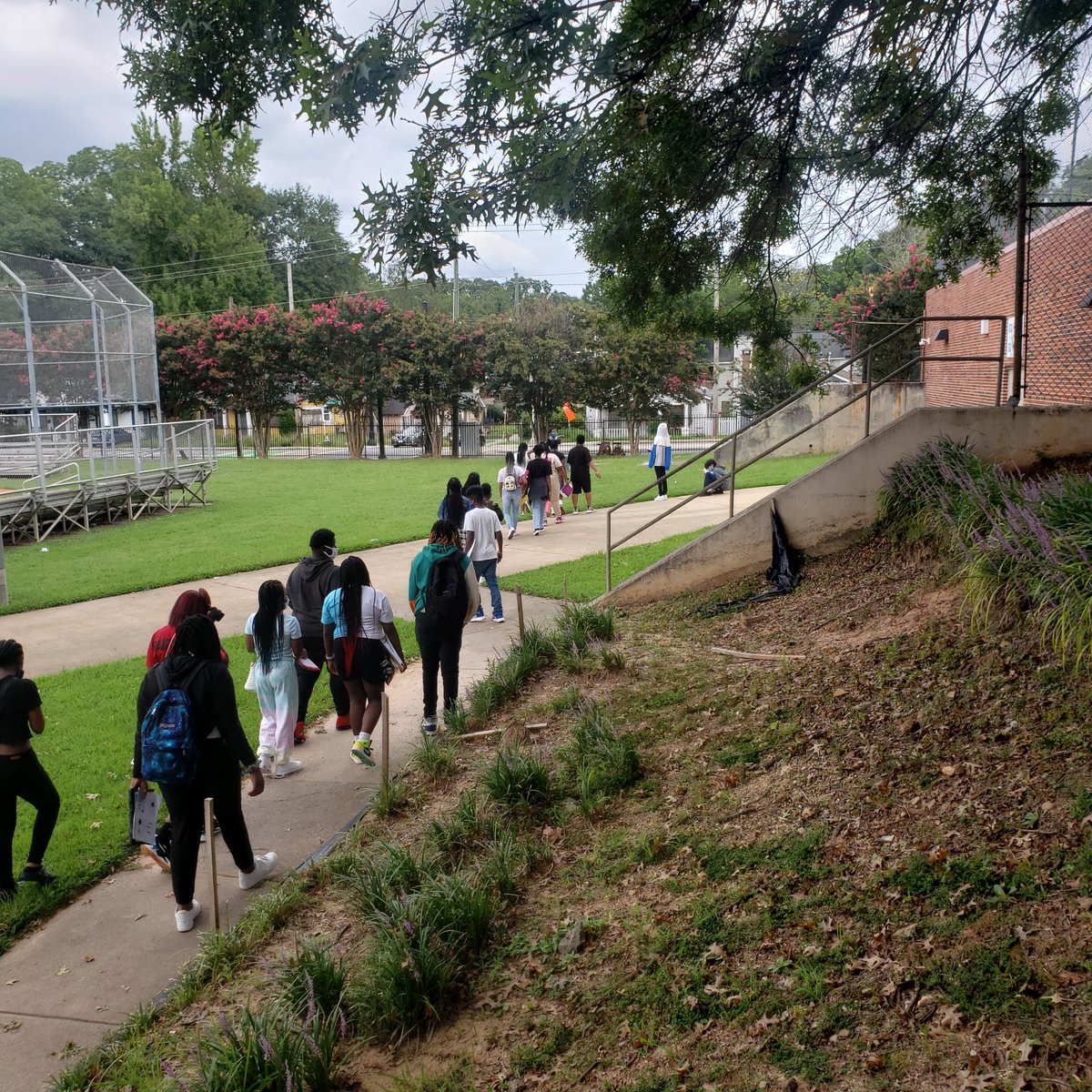BTW_STEMtastic's tweet photo. Yesterday our AgSTEM students canvased the campus & identified several native & exotic species of plants. Who knew @APSWashington had Japanese Mondo grass?? We have fragrant & ornamental plants on campus too #stem @CogniaOrg @apsupdates @atlantawestend @WestsideRise Stay tuned ๐ฟ https://t.co/L6ucjBE5eh