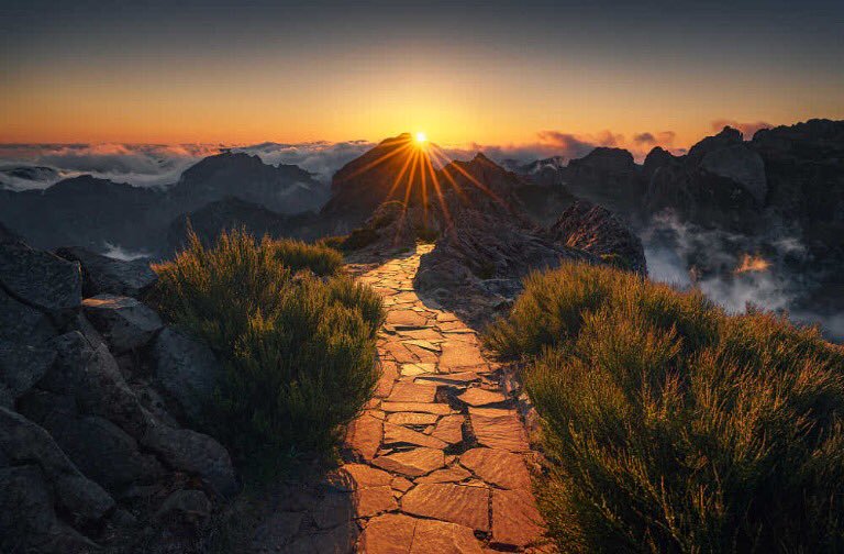 s. u. n. s. e. t. (@sunset731) on Twitter photo 