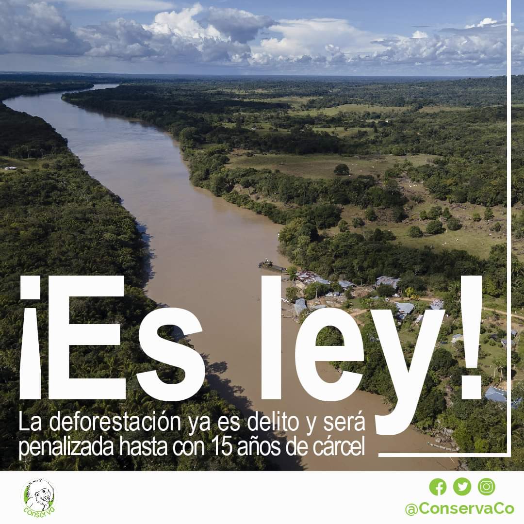 conservaco's tweet image. Con esta ley se previenen nuevos delitos al ambiente como la deforestación, su promoción y financiación, que será sancionada hasta con 15 años de prisión; el tráfico de fauna y la financiación de la invasión de áreas de especial importancia ecológica. 

Vía @MinAmbienteCo