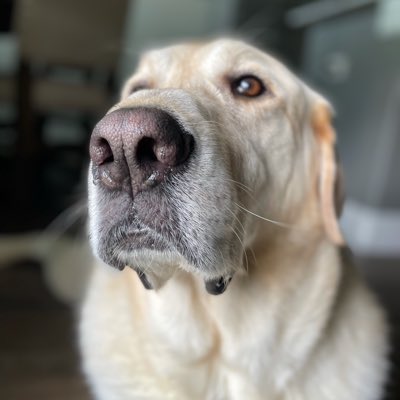 jonbeltnet's tweet photo. #NewProfilePic https://t.co/PPk1hFyjGX