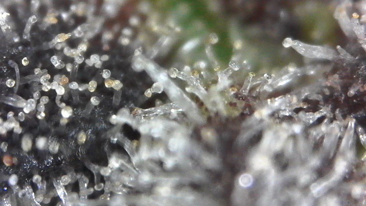 J Javier tweet media