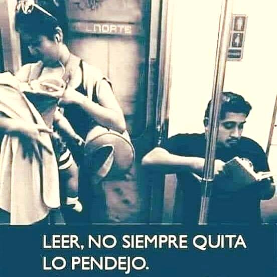 multiforoalicio's tweet photo. Bonita tarde para usted. https://t.co/Z5APJV8xmu