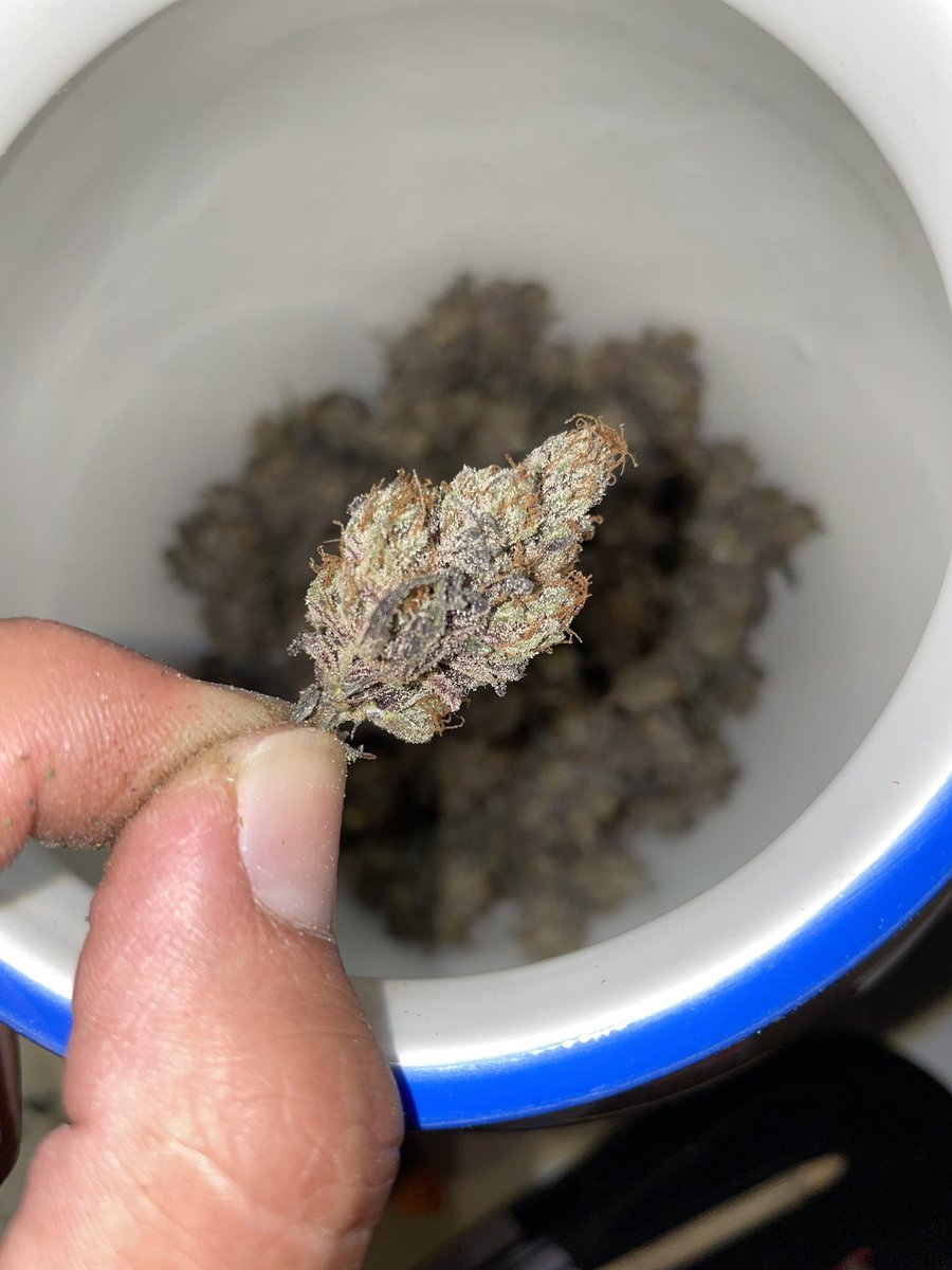 J Javier tweet media