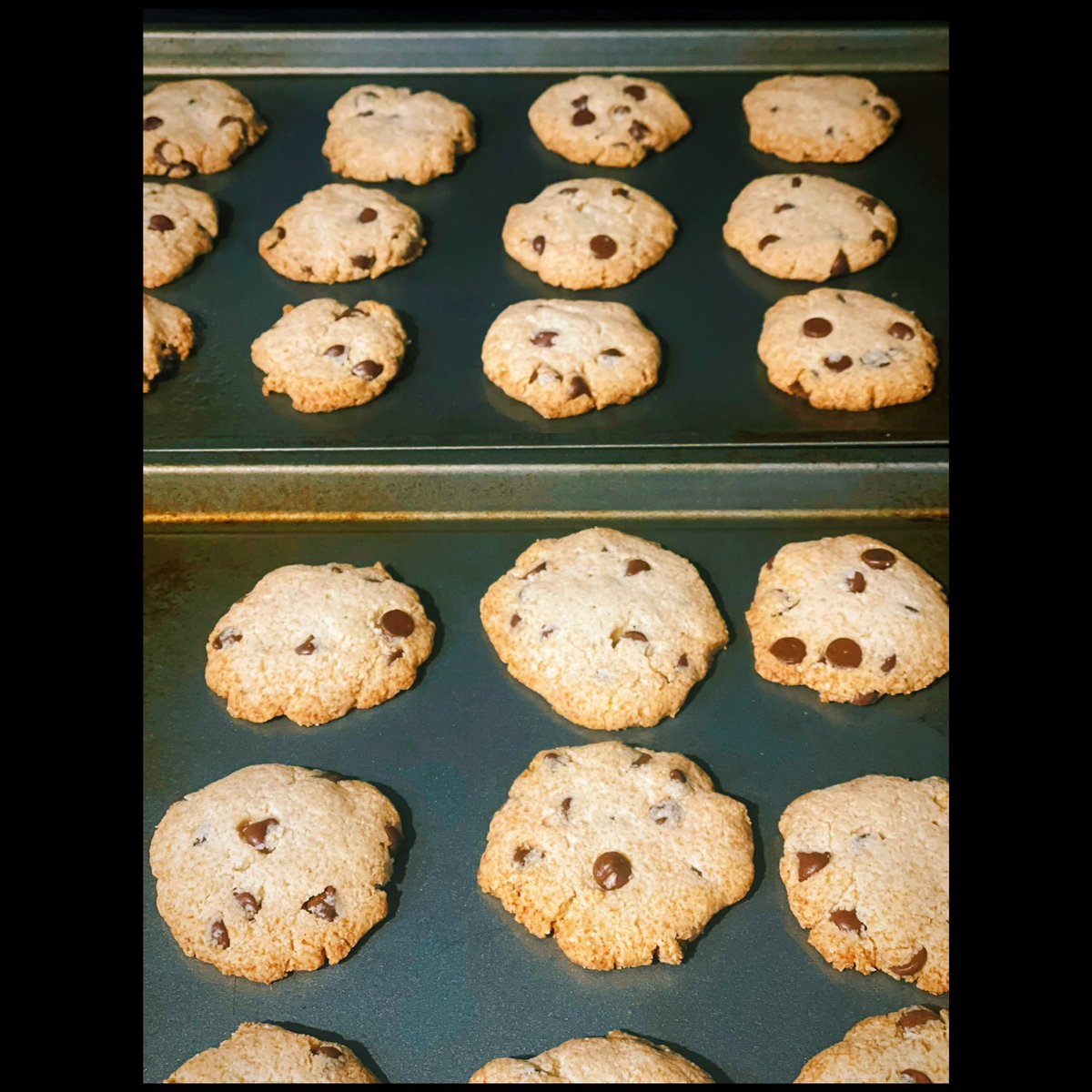 DulceBrownSugar's tweet image. Made myself some flour free chocolate chip cookies. Delicious. 😁 #noflour #almondflour #nobutter #coconutoil