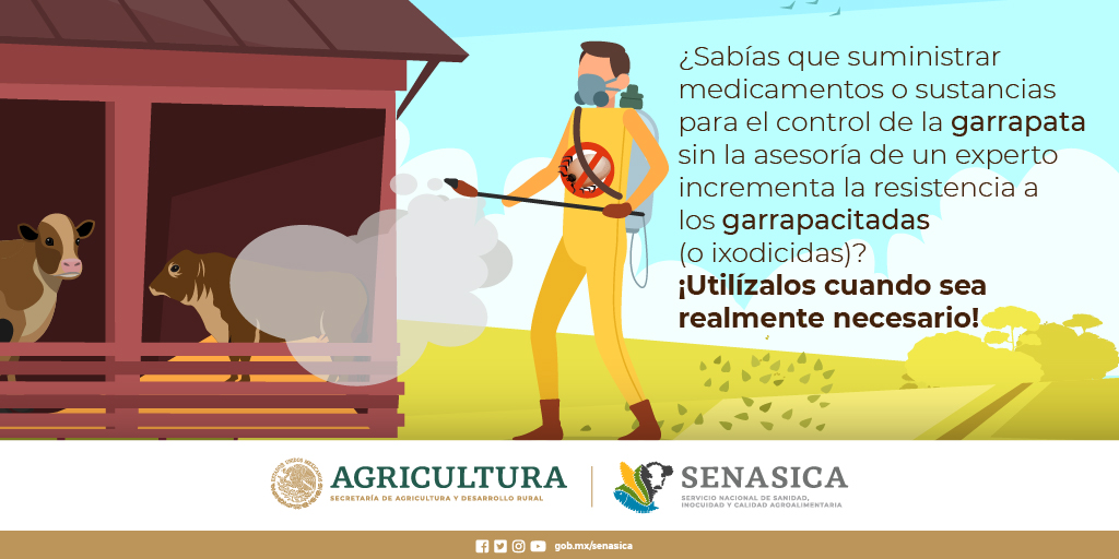 SENASICA's tweet photo. No pierdas tu producción ganadera 🐃🐂🐄 https://t.co/K4ptfYerJP