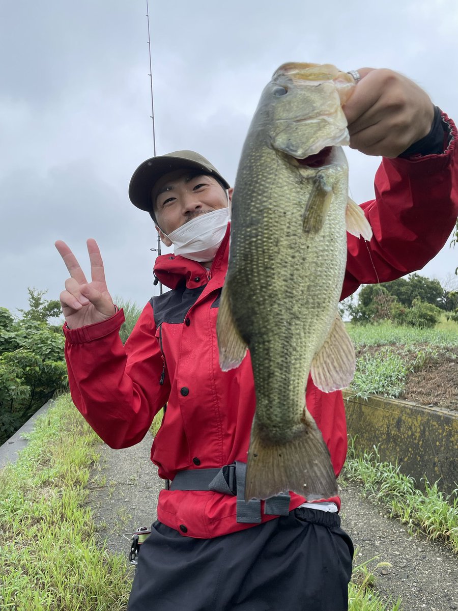 BASS_Makoto0800's tweet photo. 先日の釣果✨
カーリーテールのフリーリグでGET🎣
天気悪くても釣れる✨
#バス釣り #カーリーテール #フリーリグ #アパレルブランド #FoundFind https://t.co/LzSKwFJOxl